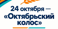 Открыта регистрация на XXVI марафон «Октябрьский колос» - Октябрьский район