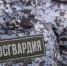 Александр Беглов поздравил руководство, личный состав и ветеранов с 10-летием создания Главного управления Росгвардии по Петербургу и Ленобласти - tvspb.ru - ТК Санкт-Петербург