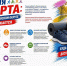 Неделя спорта в Красногвардейском округе продолжается. - Красногвардейский район