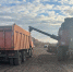 В Приамурье нашли группу китайцев, незаконно работавших в полях - Amur.Life