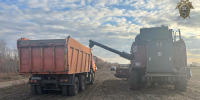 В Приамурье нашли группу китайцев, незаконно работавших в полях - Amur.Life