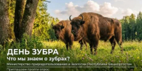 Сегодня отмечается Международный День зубра - Минэкологии РБ