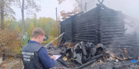 Следователи выясняют обстоятельства гибели женщин в новгородской деревне - Газета Новгород