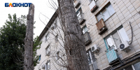 MVI_9197.00_02_10_46.Still002.jpg - Блокнот Волжского
