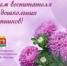 С Днём дошкольного работника. - Тюкалинский район