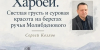 Акварели о Харбее: в Салехарде откроется выставка о Светлом Севере и суровой памяти - Комсомольская Правда