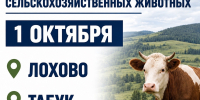 Важная информация для владельцев сельскохозяйственных животных. - Администрация Черемховского района