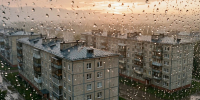 Фото сгенерировано нейросетью - НИА-Кубань