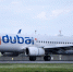 СМИ назвали версии случившегося на борту самолета Flydubai - M24.Ru