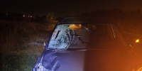 Госавтоинспекция Зеленодольска бьет тревогу из-за аварий с пешеходами - Новости Зеленодольска