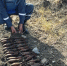 В Крыму за день нейтрализовали 90 взрывоопасных предметов - Комсомольская Правда