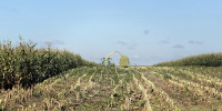 Координатор партийного проекта Единой России «Российское село» Николай Козлов посетил АО «Воскресенское» - Единая Россия