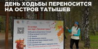 Фото: Эко-парк «Гремячая грива» / телеграм-канал - НИА