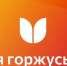 Патриотический клуб Политеха – в ТОП-5 рейтинга «Я горжусь» - СГТУ