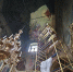 В Иоанно-Крестительском храме начались работы по реставрации настенных росписей. 29 сентября 2026 года, г.Орел - Орловская и Ливенская епархия
