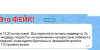 Мэр Братска призвал жителей не распространять фейки о появлении медведей в городе - Baikal24.Ru