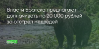 Поделитья во ВКонтакте - Братская Студия Телевидения