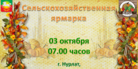 Все на ярмарку! - Нурлатский район