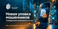 Жителей Чувашии предупреждают о новой схеме мошенничества с «цифровой доверенностью» - Министерство информационной политики