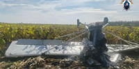 Легкомоторный самолет упал в зоне ответственности Самарского РЦ ЕС - Комсомольская Правда Самара