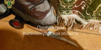В Черняховске задержали мужчину, сломавшего бывшему мужу своей знакомой глазницу - KaliningradNews.Ru