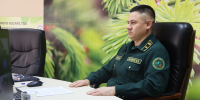 В Департаменте лесного хозяйства по ПФО обсудили вопросы проведения осенних лесокультурных работ - Министерство лесного хозяйства