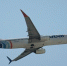 Россиян нет на подавшем сигнал бедствия рейсе Flydubai - M24.Ru