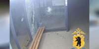 Полиция установила разбившего стекло остановки в Ярославле вандала - ГТРК