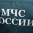 Из леса в Правдинском районе в ночи вывели заблудившегося грибника - Комсомольская правда