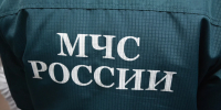 Из леса в Правдинском районе в ночи вывели заблудившегося грибника - Комсомольская правда