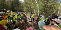 239099_ebcc7c9f_wibiPQoL_1790347469.jpg - Bnkirov.Ru