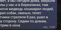 В Нижнеилимском районе медведь загрыз девять собак - Baikal24.Ru
