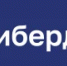 Основной трек «Кибердром. Профессионал» 2026/2027 - Министерство промышленности и энергетики