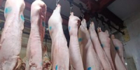 В Нолинском районе Кировской области мясоперерабатывающее предприятие осуществляет деятельность с нарушением технических регламентов - Россельхознадзор