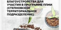 Выбор объекта для благоустройства для участия в программе ППМИ. - Администрация