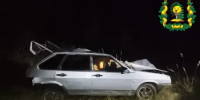 В Балахнинском муниципальном округе произошло ДТП со смертельным исходом из-за столкновения с лосем - Министерство лесного хозяйства