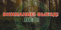 Заплутавшие в Ивановском районе грибники не слышали ни сирен, ни петард - Ивановская газета