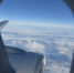 Пассажирка самолета Flydubai рассказала, что борт терял управление во время драки пилотов - M24.Ru