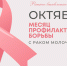 В Карачаево-Черкесии проходит ежегодная акция «Розовый октябрь», приуроченная к месяцу борьбы с раком молочной железы - Правительство Карачаево-Черкесской Республики