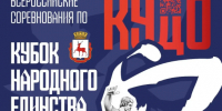 Нижний Новгород примет всероссийский турнир по кудо  «Кубок народного единства» - Городская Дума
