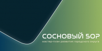 В администрации Сосновоборского округа рассмотрены результаты первого этапа работ по подготовке мастер-плана - Комитет градостроительной политики