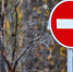 Движение временно перекрыто на ряде улиц в центре Москвы - M24.Ru