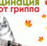 Вниманию жителей Чайковского округа: началась вакцинация против гриппа - Газета Огни Камы