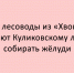 Ребята из объединения «Хвоинка» оказывают помощь Куликовскому лесхозу в сборе желудей - Народное слово