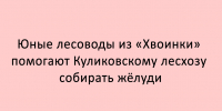 Ребята из объединения «Хвоинка» оказывают помощь Куликовскому лесхозу в сборе желудей - Народное слово