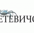 В Новгородской области будут изучать, как школьники и студенты справляются с технологическими задачами - Новгородское областное телевидение