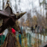 Привели в порядок историю: в Мурманске на мемориальном кладбище собрали 4 КамАЗа мусора - Вечерний Мурманск