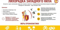 О мерах профилактики Лихорадки Западного Нила. - Роспотребнадзор