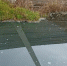 Фото обратившихся в группе ЦУР Вологодской области - Вологда-поиск