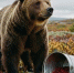 Самые популярные новости ИА KamchatkaMedia 30 сентября - KamchatkaMedia.Ru